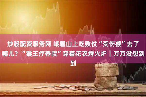 炒股配资服务网 峨眉山上吃败仗“受伤猴”去了哪儿？“猴王疗养院”穿着花衣烤火炉｜万万没想到