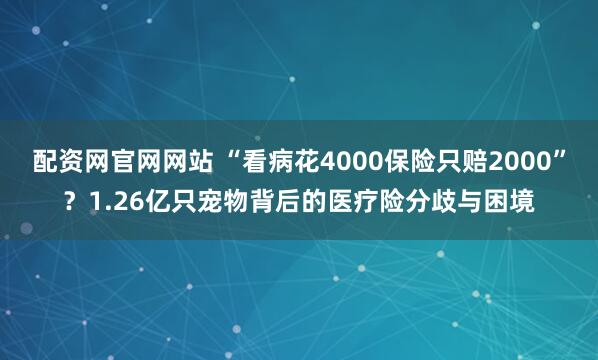 配资网官网网站 “看病花4000保险只赔2000”？1.26亿只宠物背后的医疗险分歧与困境