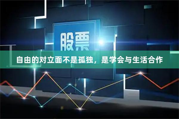 自由的对立面不是孤独，是学会与生活合作