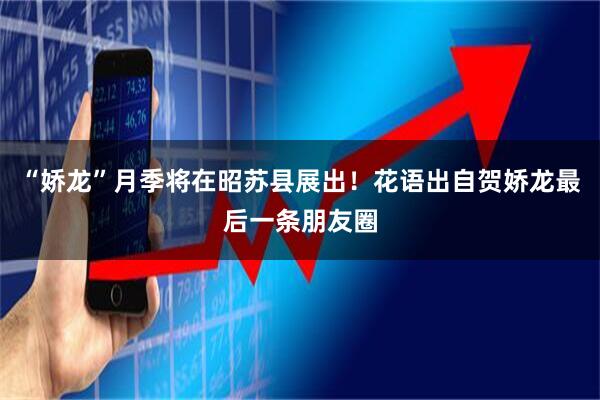 “娇龙”月季将在昭苏县展出！花语出自贺娇龙最后一条朋友圈