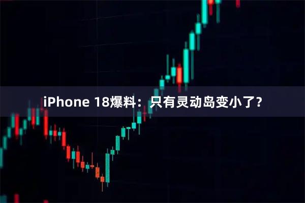 iPhone 18爆料：只有灵动岛变小了？