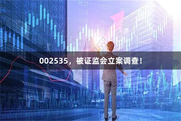 002535，被证监会立案调查！