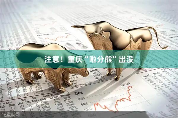注意！重庆“啦分熊”出没