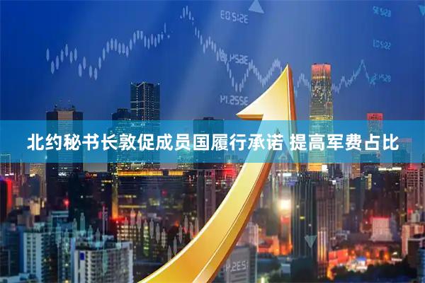 北约秘书长敦促成员国履行承诺 提高军费占比
