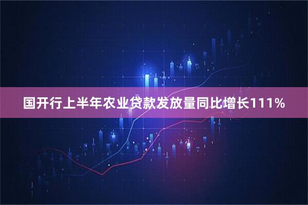 国开行上半年农业贷款发放量同比增长111%